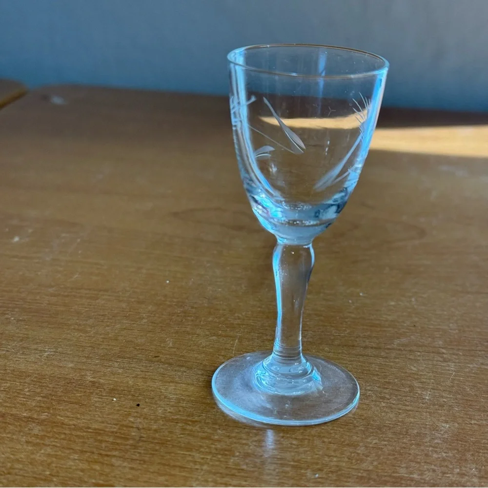 Vintage etched‎ cordial shot glass, clear